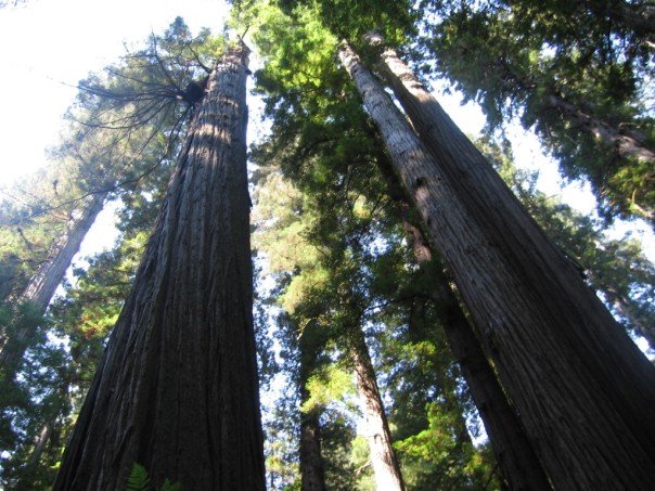 190316_1002253540719_7804_n